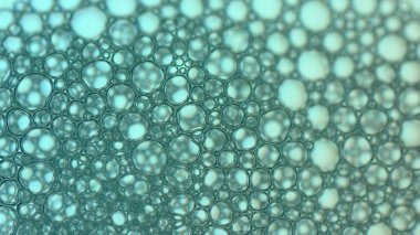 Sabun köpüğü ya da şampuan yıkama.