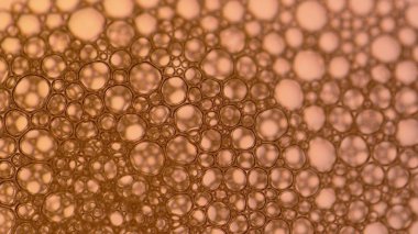 Sabun köpüğü ya da şampuan yıkama.