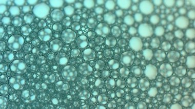 Sabun köpüğü ya da şampuan yıkama.