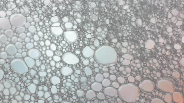 Burbuja de espuma de lavado de jabón o champú — Vídeos de Stock