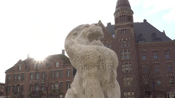 Lion dans la place du barrage — Video