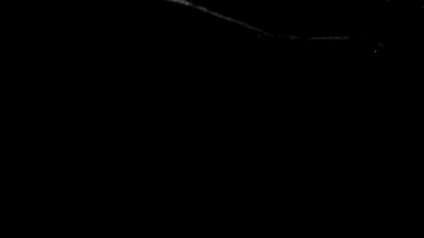 Diseño de gota de tinta negra sobre fondo blanco — Vídeo de stock
