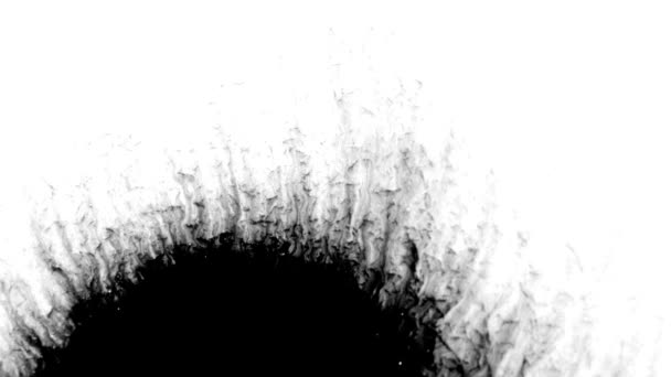 Conception de goutte d'encre noire sur fond blanc — Video