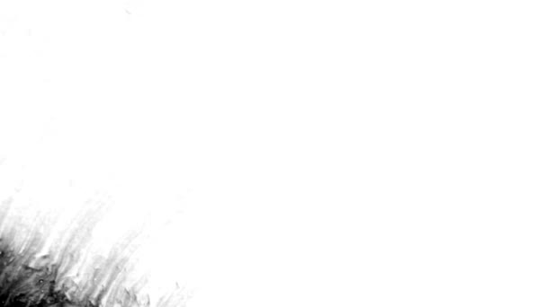 白色背景上的黑色墨滴设计 — 图库视频影像