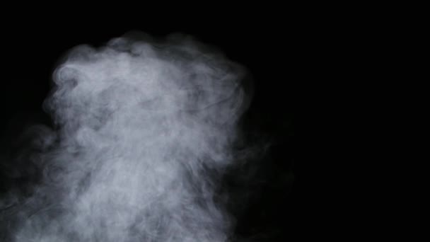 Revêtement réaliste de brouillard de nuages de fumée de glace sèche — Video