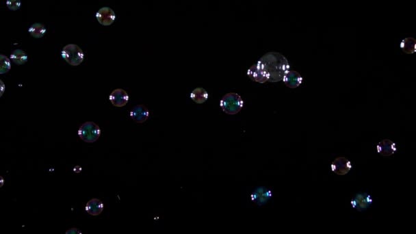 Soap Bubbles on Black Background — Stock Video