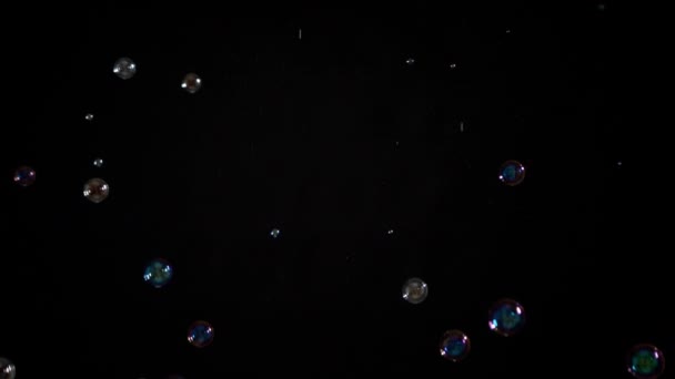 Zeepbellen op zwarte achtergrond — Stockvideo
