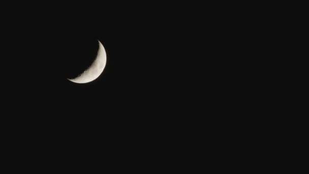 Lua nova no céu preto do jarro — Vídeo de Stock
