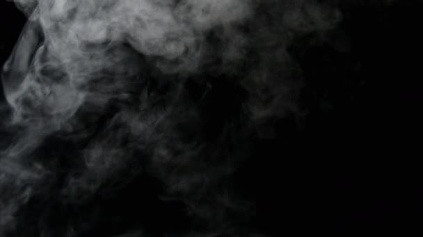 Na białym tle mgły i dymu — Wideo stockowe