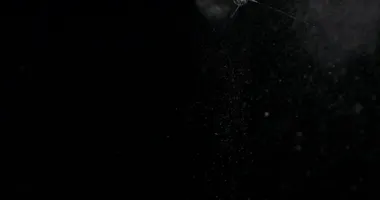 Kırık cam kırığı efekti dokusu soyut siyah arkaplan. Kurşun camı kırmış ve büyük bir ayna ile vurulmuş..