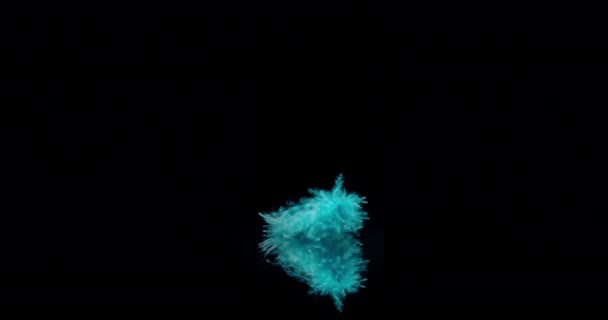 Plume d'oiseau bleu — Video