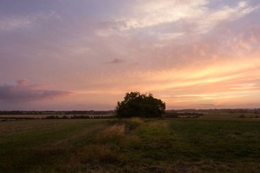 Tarım tarım arazileri üzerinde güzel bulutlu gün batımı
