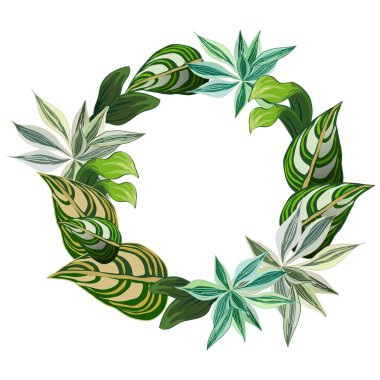 Tropikal yapraklı vektör çerçevesi