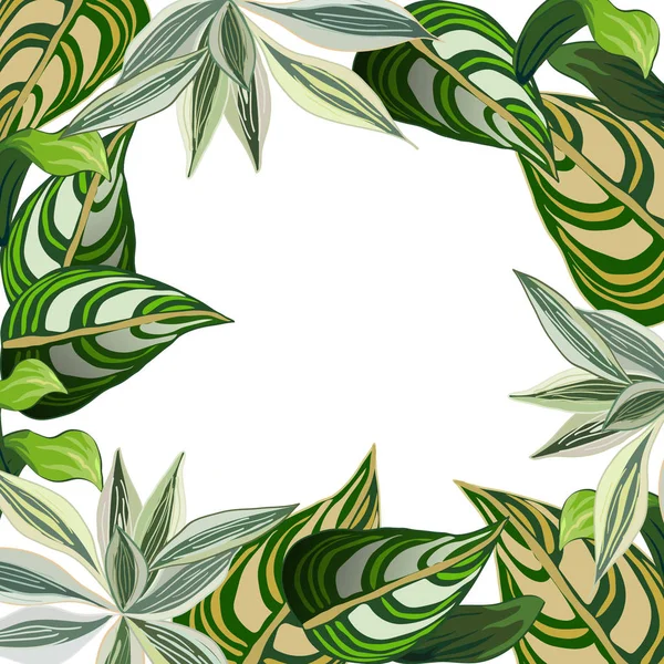 熱帯の葉を持つベクトルフレーム — ストックベクタ