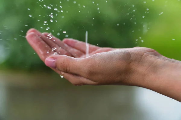 Mano bajo la lluvia. Mano mojarse en la lluvia sobre un fondo borroso de árboles —  Fotos de Stock