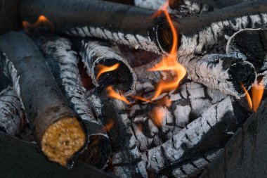 Izgara içinde şenlik ateşi. Kömürlerin hazırlanması