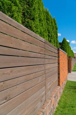 Çit ve tuğla. TUI ağaçlar canlı çit. Bir taşra kasabasında güneşli bir gün