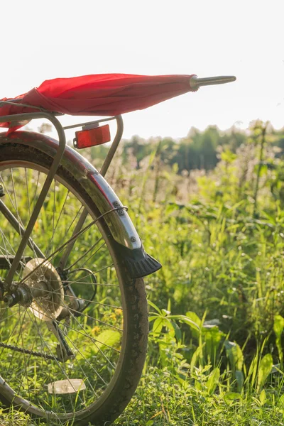 Bakhjulet av cykel och i stammen är ett rött paraply — Stockfoto