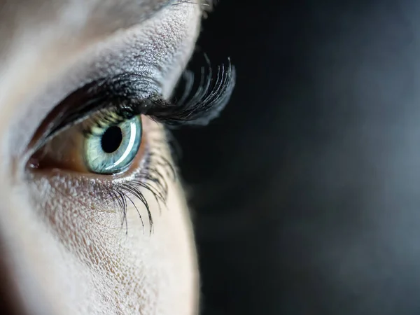 Macro eye blue and eyelashes — Stock Photo, Image