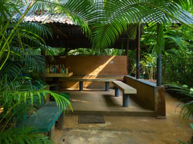 Ahşap Pano tablo tropikal orman