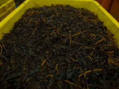 Çay yaprakları işleme üretim.