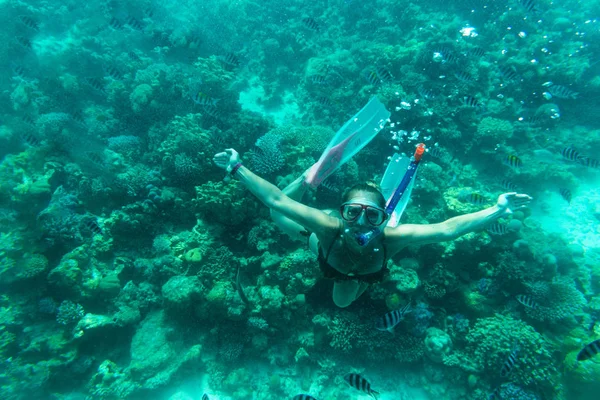 A lány úszik a korallzátonyok víz alatt — Stock Fotó
