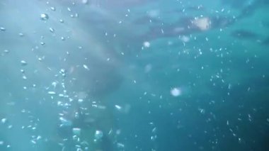 Kız havuzda yüzüyor. Video kamera altında sudur.