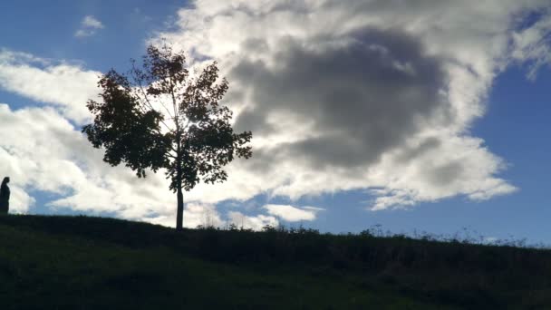 Silhouette d'une fille près d'un arbre sur fond d'un ciel immense .