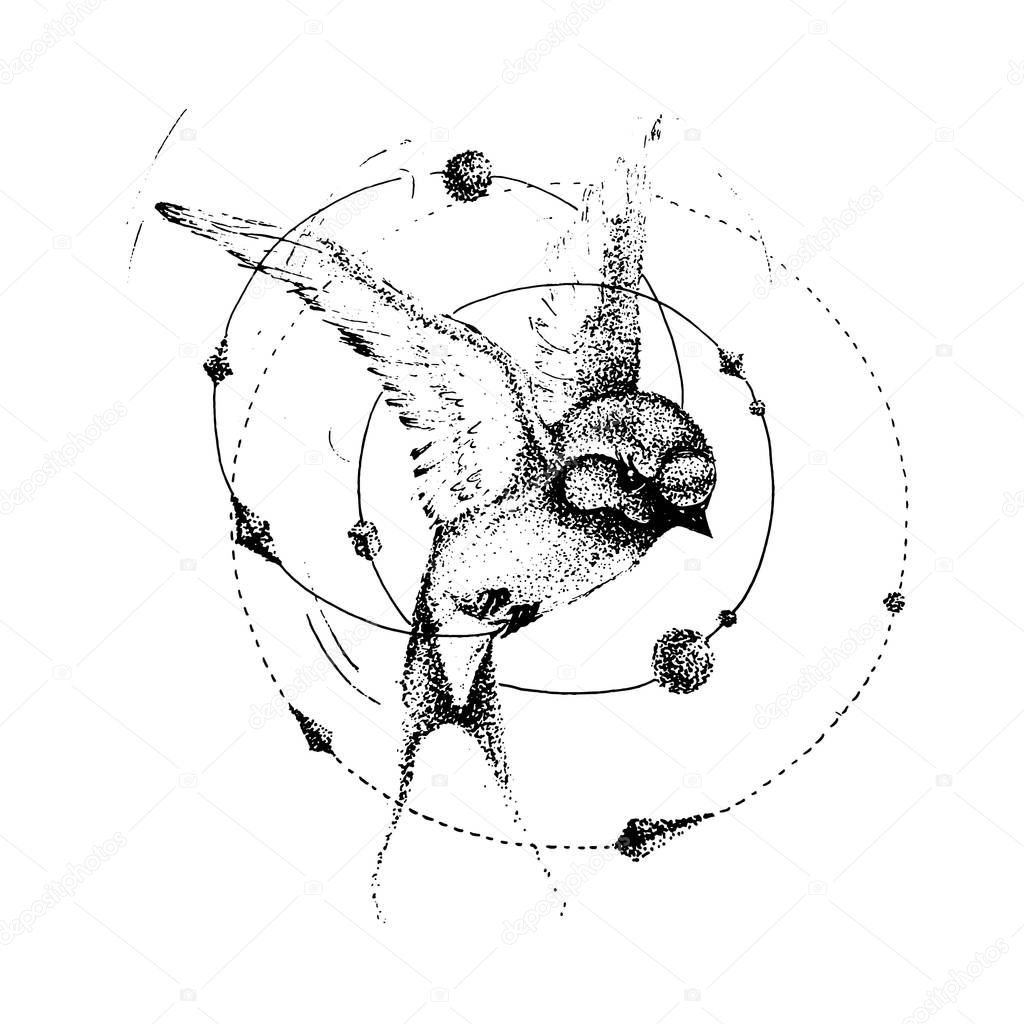 Hand drawn swift or swallow. Tattoo theme. Vector sketch illustration.