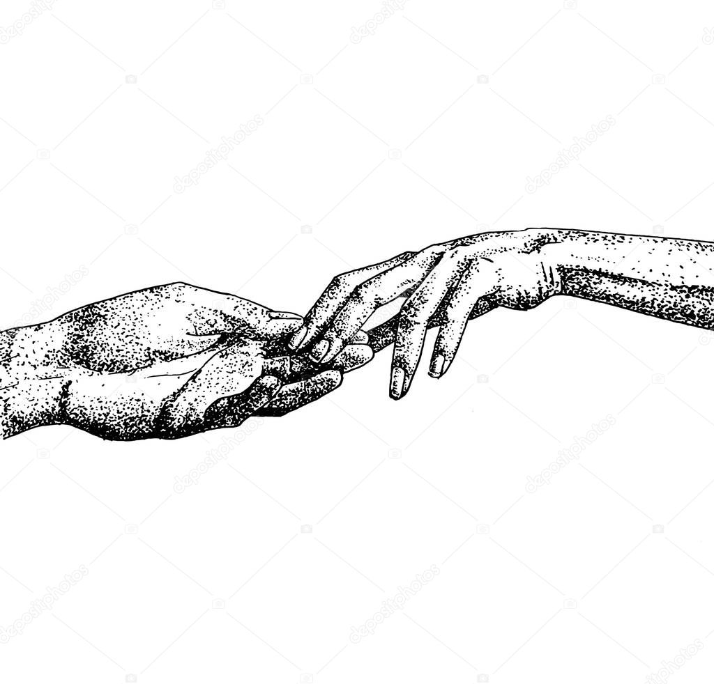 Hand drawn graceful hands of couple. Vector sketch illustration.