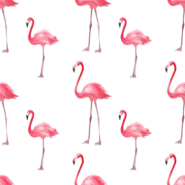 Pembe flamingo ile Seamless modeli. Mor kuş arka plan. Tekstil, tebrik kartı, t-shirt baskı ve başka bir tasarım için iyi.