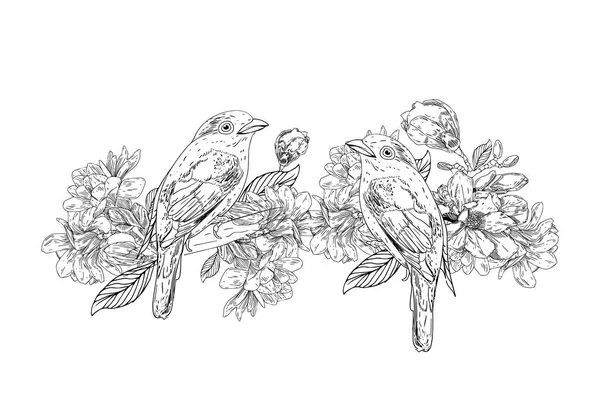Handgezeichneter Vogel mit Blumen im Vintage-Stil. Frühlingsvögel sitzen auf blühenden Zweigen. lineare Gravurkunst. isoliert auf weißem Hintergrund. — Stockvektor