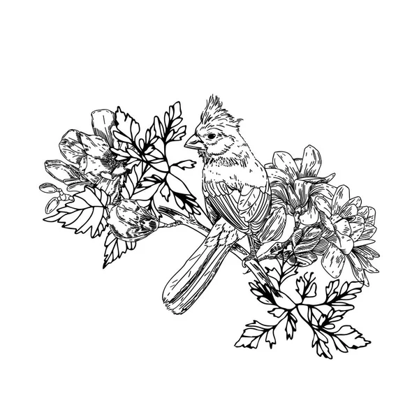 Pájaro dibujado a mano con flores de estilo vintage. Pájaros de primavera sentados en ramas en flor. Arte grabado lineal. Aislado sobre fondo blanco . — Vector de stock