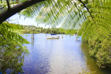 Koyda yelkenli. Yeni Zelanda