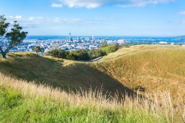 Mount Eden volkan üst Auckland muhteşem manzaralı.