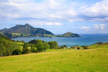 Beautiful Whangarei landscape in New Zealand clipart