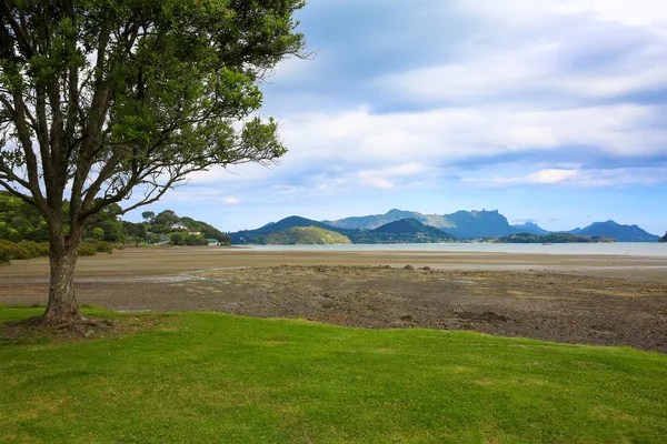 Beau paysage whangarei en Nouvelle-Zélande — Photo