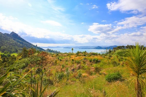 Красивый пейзаж Вангарея в Новой Зеландии — стоковое фото
