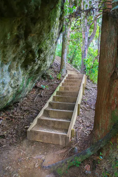 나무 계단, 마운트 출입구와 하이킹 코스. — 스톡 사진