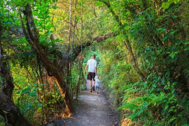 Baba küçük kızı yürüyüş yolu, Mount Manaia ile. 