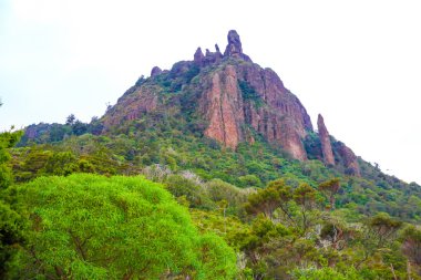 Manaia Yeni Zelanda, North Island mount.
