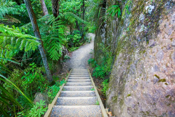 Fa lépcsők a bolzákon túrázás pálya, Mount Manaia. — Stock Fotó