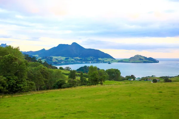 Espectacular vista del puerto de Whangarei, Nueva Zelanda — Foto de Stock