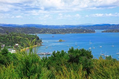 Russell and Bay of Islands, New Zealand clipart