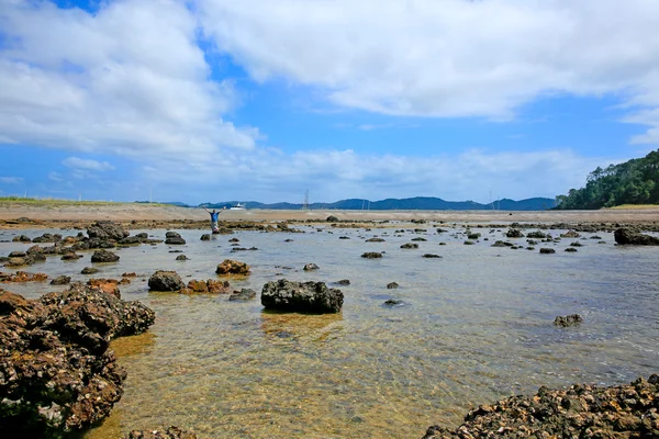 바위 해안선 러셀 롱 비치, 베이 오브 아일랜드에서. 뉴질랜드 — 스톡 사진