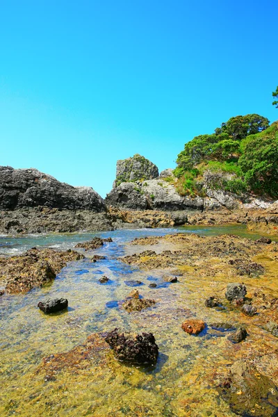 Felsige Küste am langen Strand von Russell, Bucht der Inseln. nz — Stockfoto