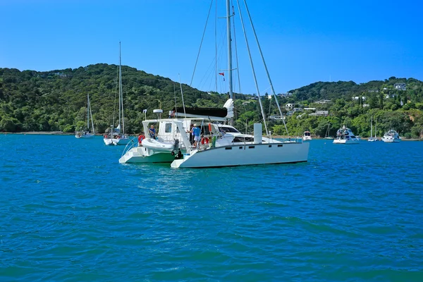 Vista de barcos en el puerto de Russell, Nueva Zelanda — Foto de Stock