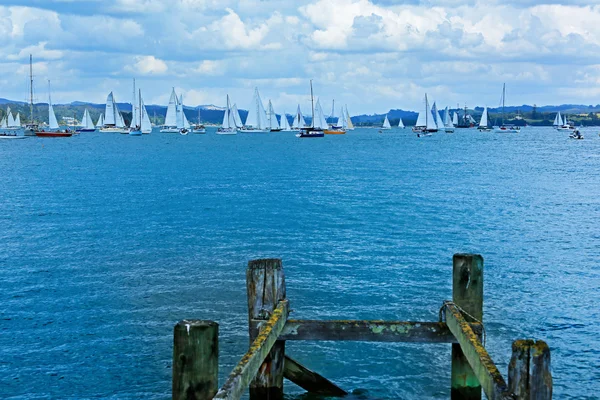 Weergave van boten in de haven in Russell, Nieuw-Zeeland — Stockfoto