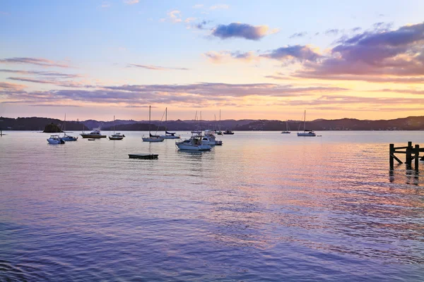 Salida del sol en la Bahía de las Islas, Isla Norte, Nueva Zelanda . — Foto de Stock