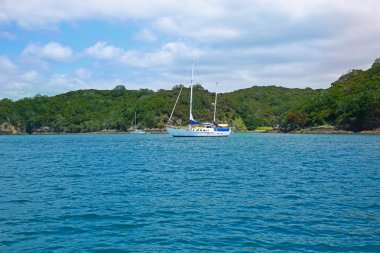 Harbour Russell, Yeni Zelanda, teknelerin görünümü